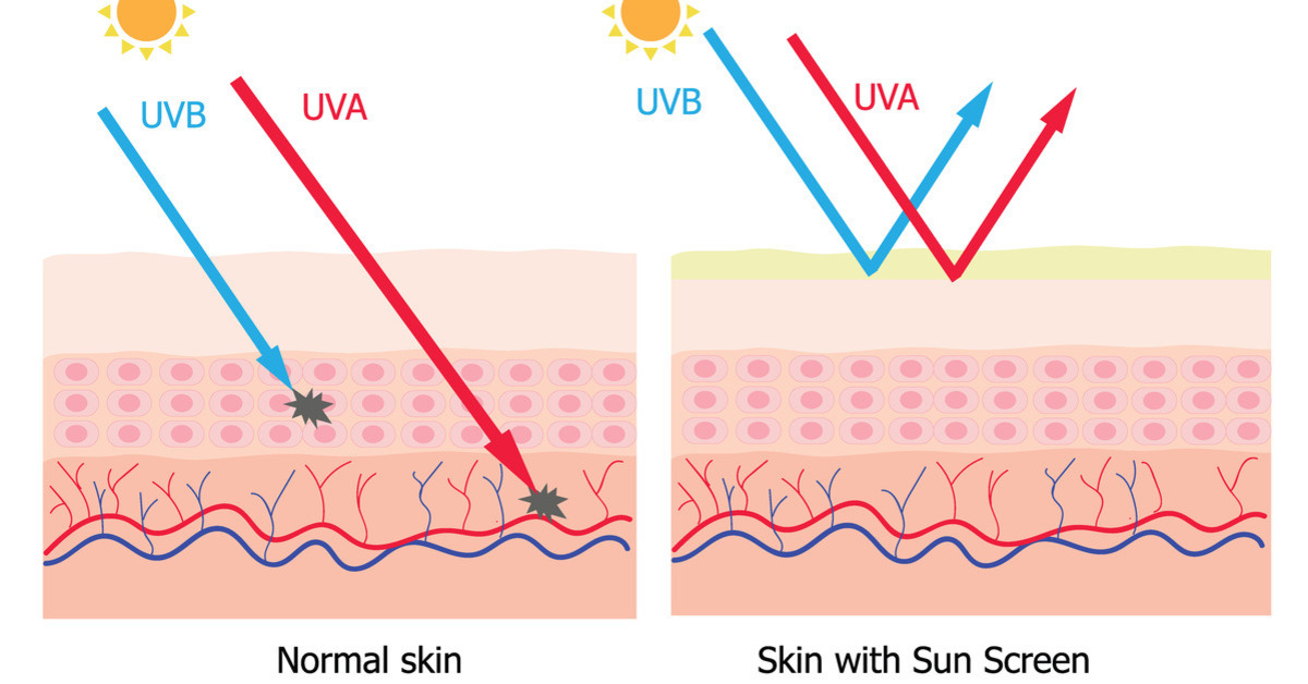 Infographic showing how UVA and UVB rays penetrate skin and how sunscreen protects skin against them.